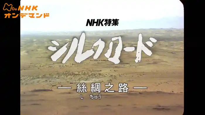 N特 シルクロード ―絲綢之路―