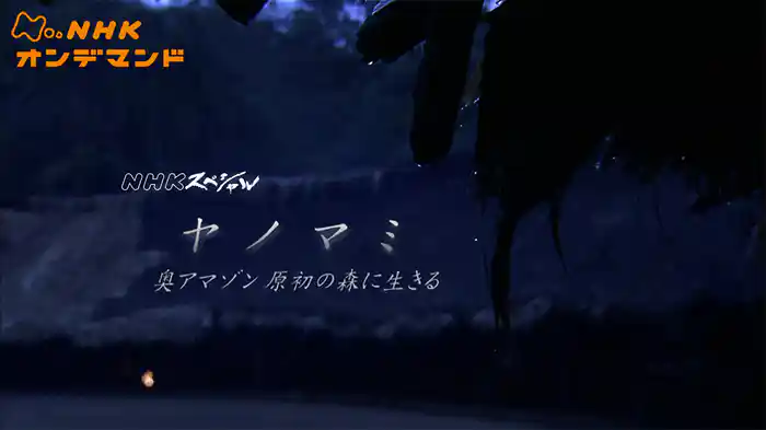 Nスペ ヤノマミ