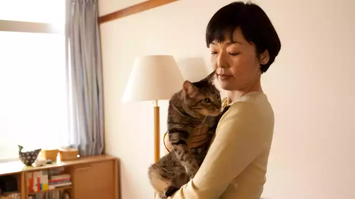 パンとスープとネコ日和