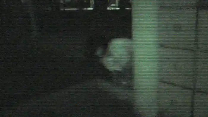 本当にあった 投稿 闇映像 劇場版2