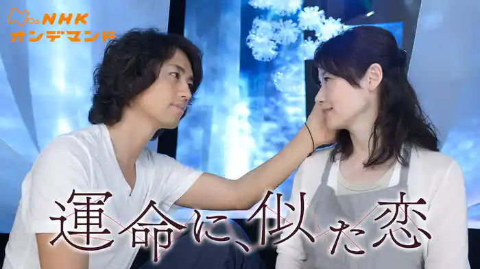 運命に、似た恋