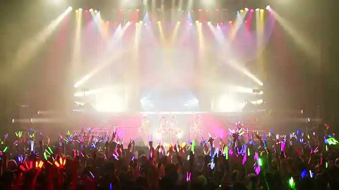 スマイレージ2011 Limited Live”S/mile Factory”