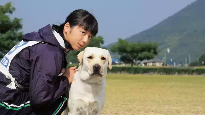 きな子～見習い警察犬の物語～