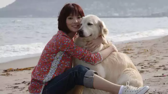 犬と私の10の約束