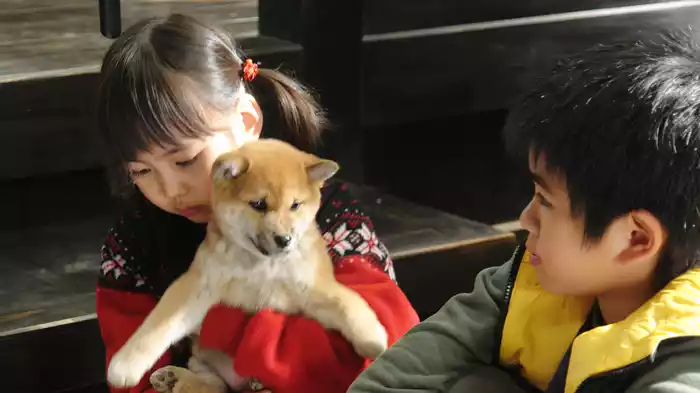 マリと子犬の物語
