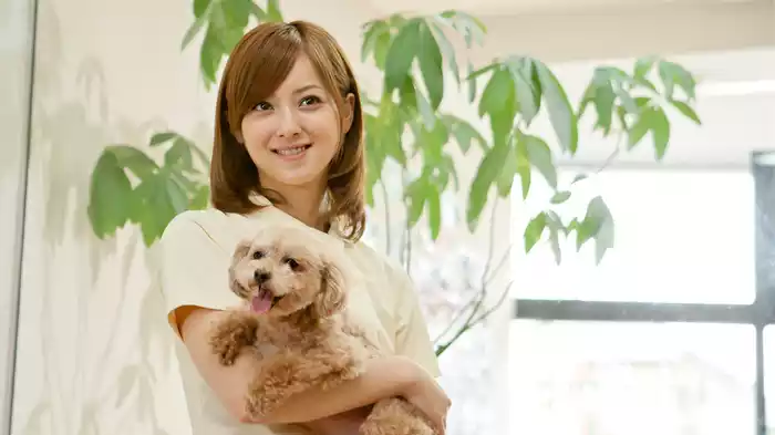 アフロ田中