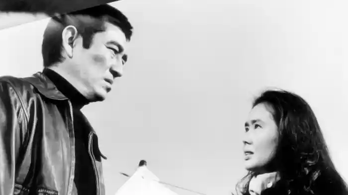 君よ憤怒の河を渉れ