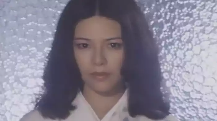 白日夢（81年版）