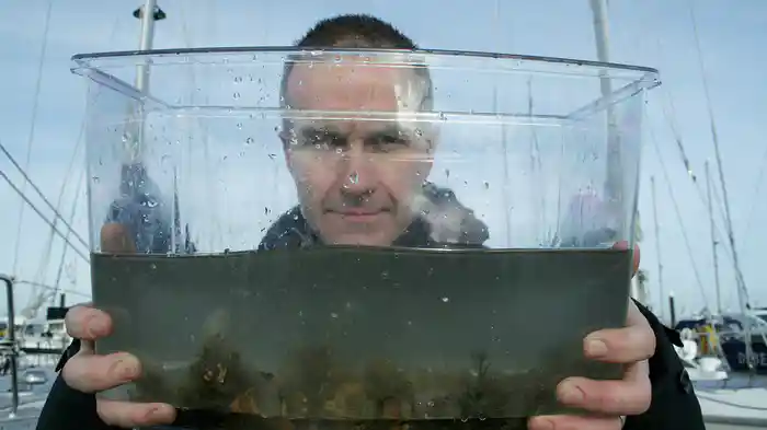 大麻 悪魔のハーブ