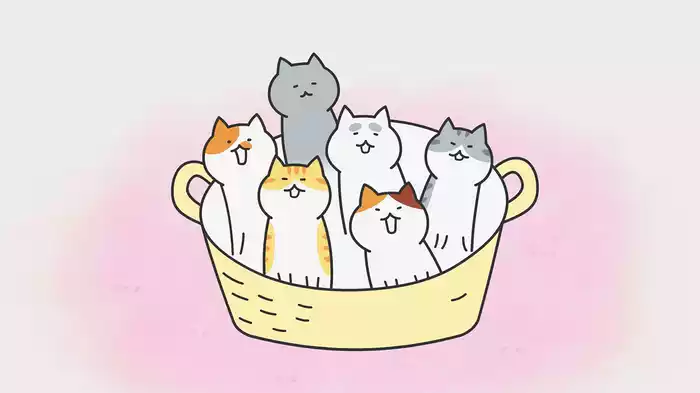 まめねこ
