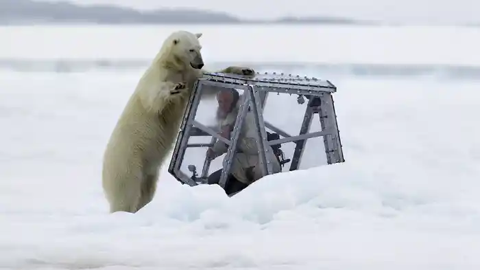 野生のホッキョクグマに密着！―母と子の1年を追う―
