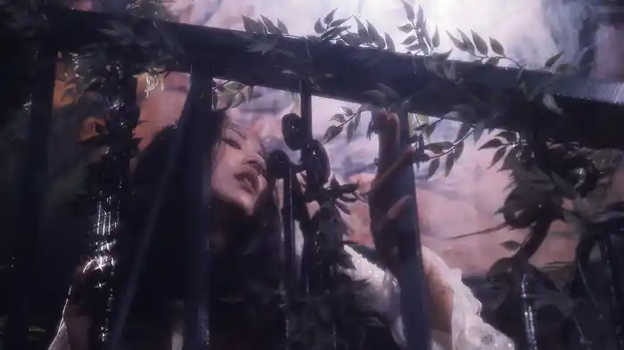 妻三人 狂乱の夜