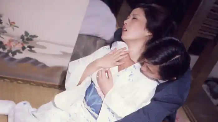 団地妻 雨やどりの情事