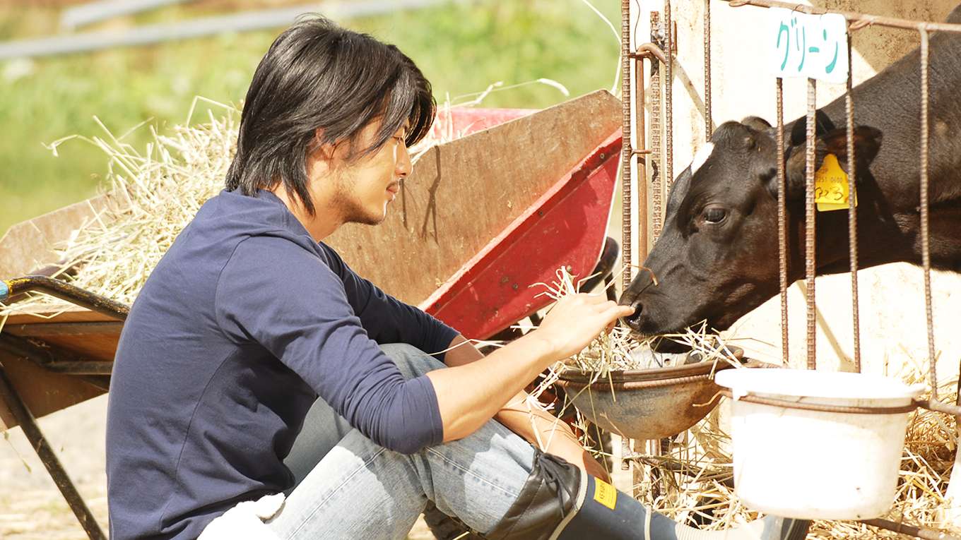 牛に願いを Love Farmの動画視聴 あらすじ U Next 牛に願いを Love Farmの動画視聴 あらすじ U Next