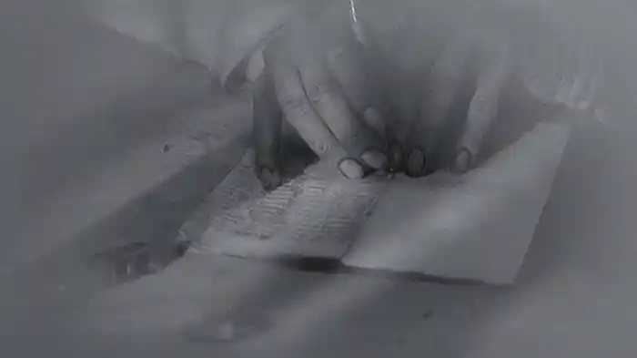 ブラザーズ・クエイ短編集　III