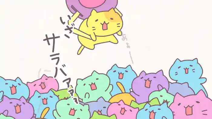 みっちりねこ