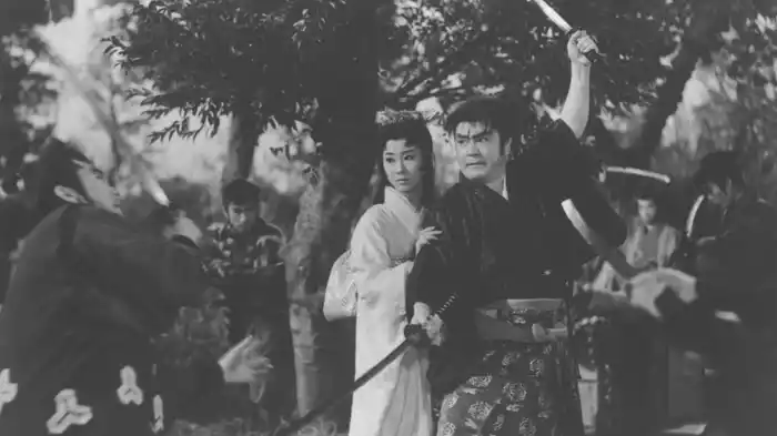 柳生武芸帳