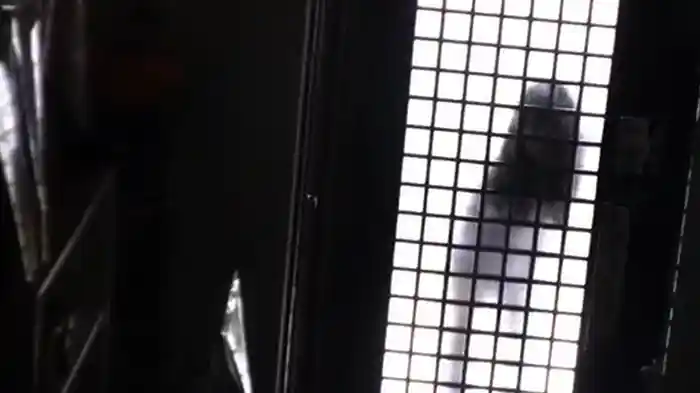 Not Found 6 ネットから削除された禁断動画