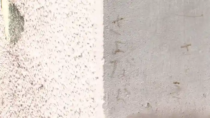 Not Found 16 ネットから削除された禁断動画