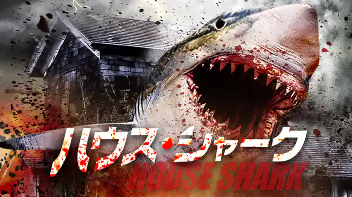 ハウス・シャーク