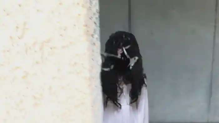 放送デキナイ死ノ動画　ベストランキング