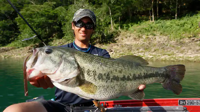 青木大介 Deez Scandal 3