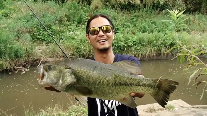 金森隆志 BIG SHOT2