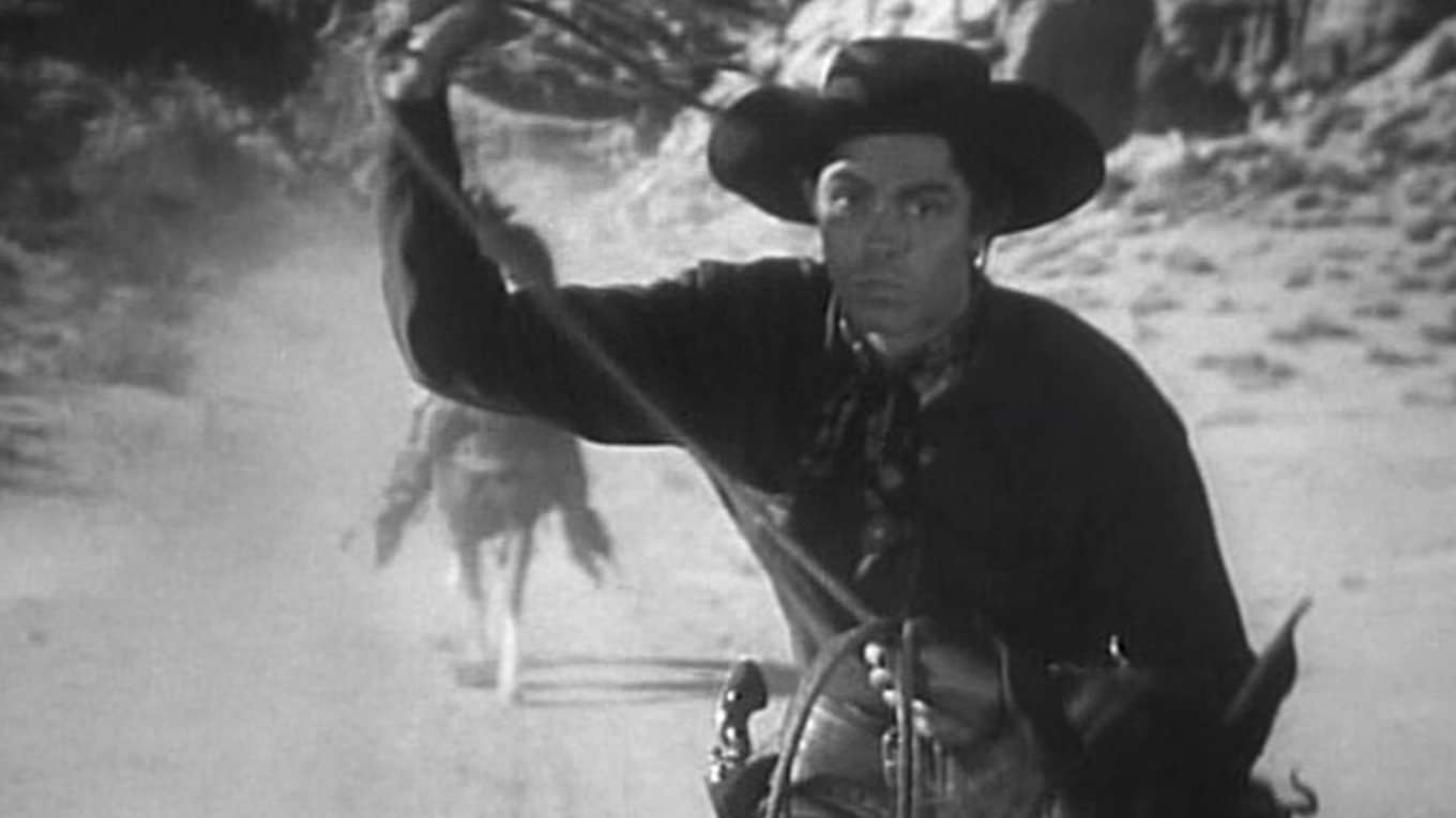 ならず者の動画視聴 あらすじ U Next