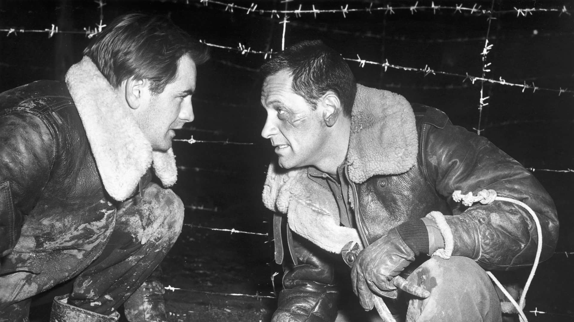 第十七捕虜収容所 洋画 1953 動画配信 U Next 31日間無料トライアル