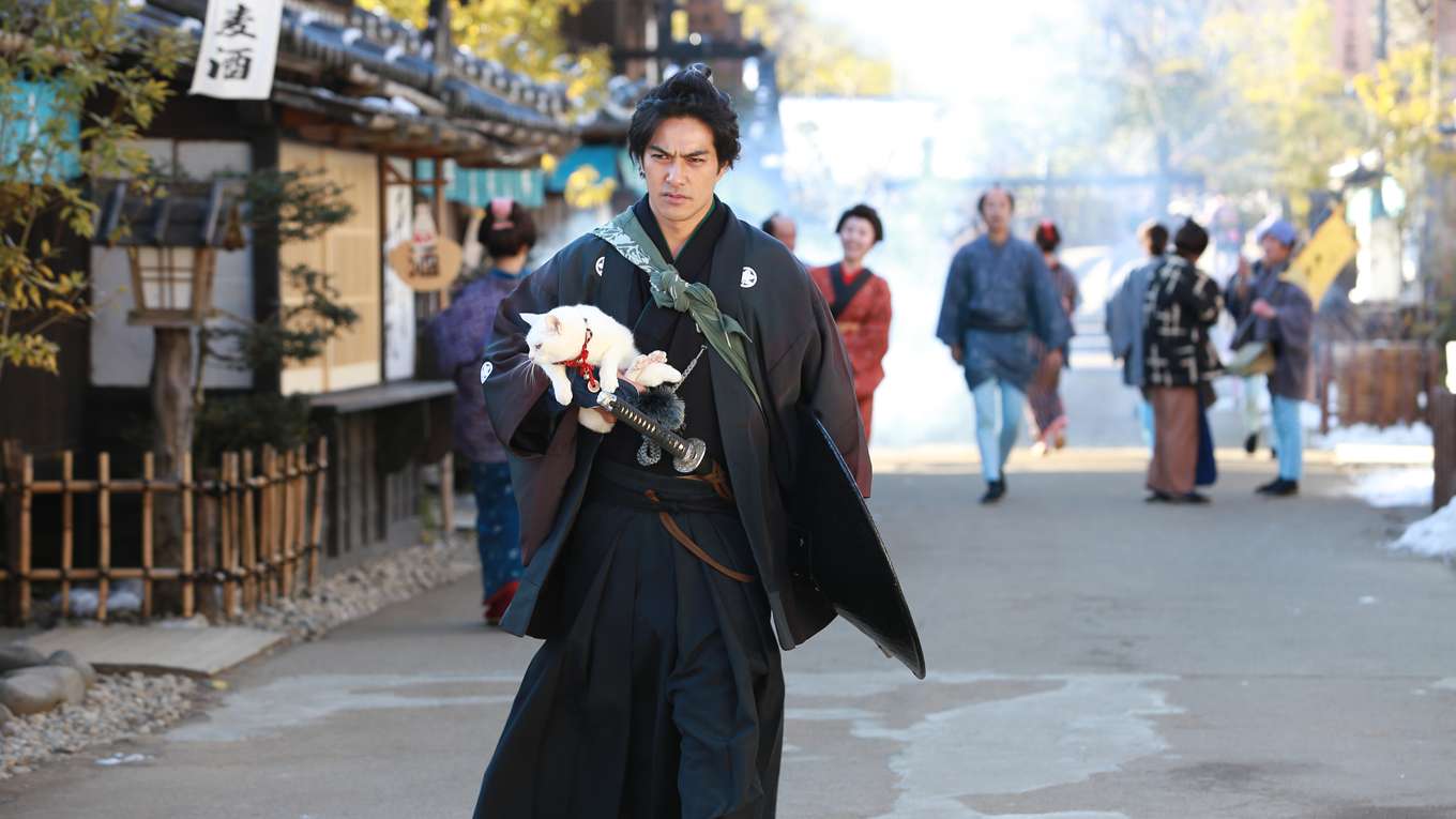 猫侍 Season2の動画視聴 あらすじ U Next 猫侍 Season2の動画視聴 あらすじ U Next