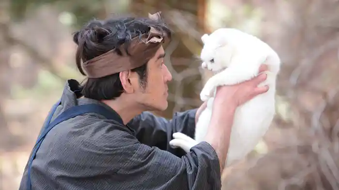 猫侍 玉之丞、江戸へ行く