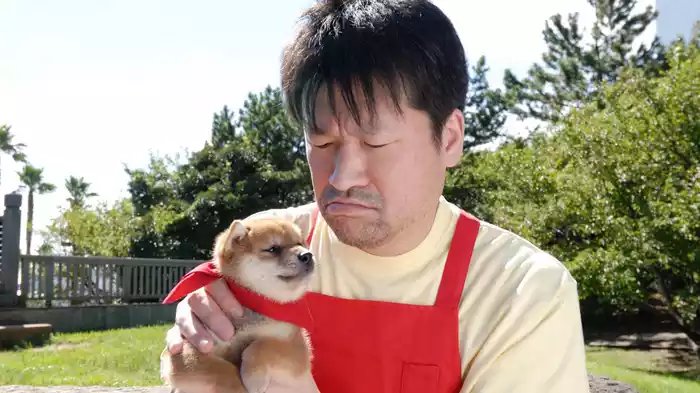 映画版マメシバ一郎 フーテンの芝二郎