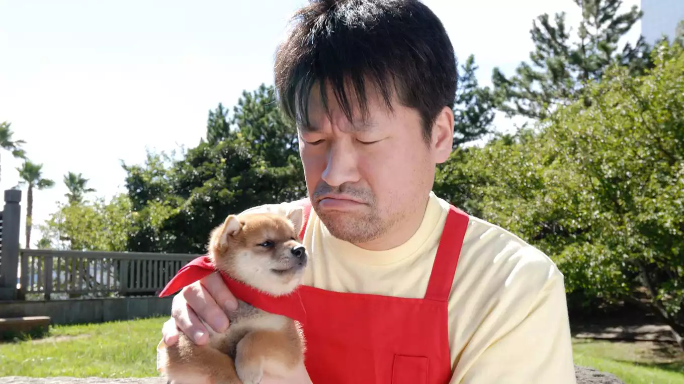 映画版マメシバ一郎 フーテンの芝二郎