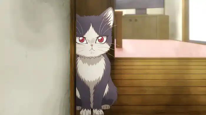 同居人はひざ、時々、頭のうえ。