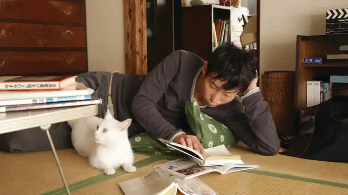 愛しのノラ ~幸せをはこぶ猫~