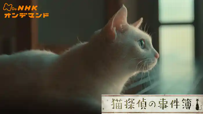 猫探偵の事件簿