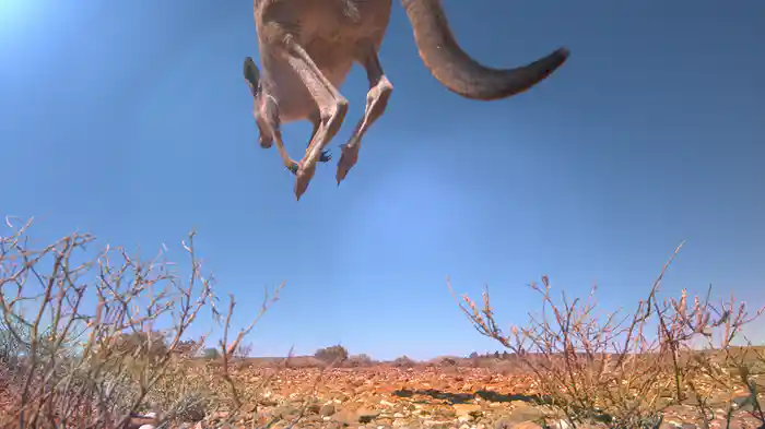 テイクオフ〜飛翔への挑戦〜