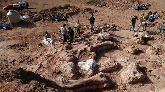 新種発見！？史上最大の恐竜