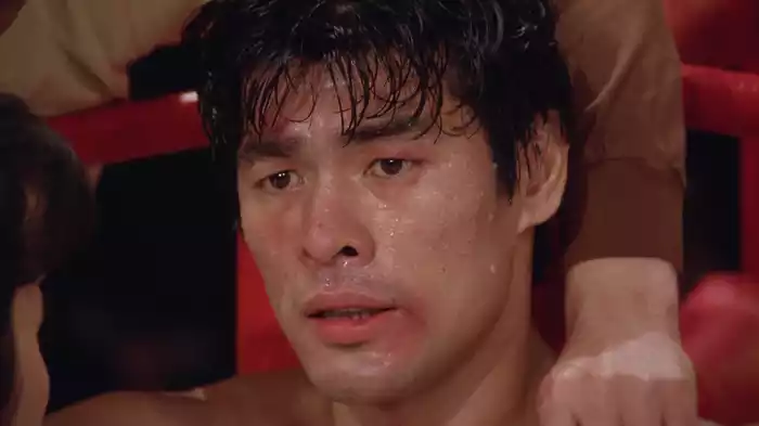 どついたるねん