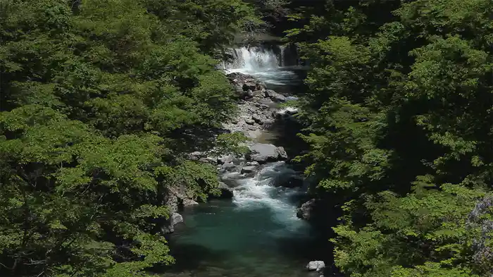 日本癒しの百景