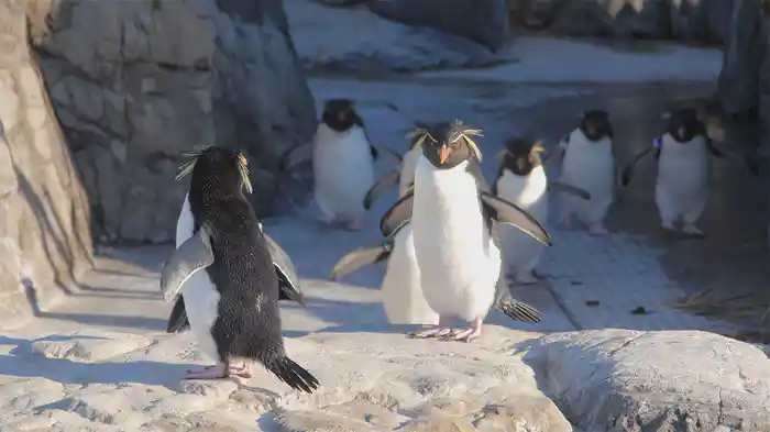 葛西臨海水族園の世界（全国流通版）