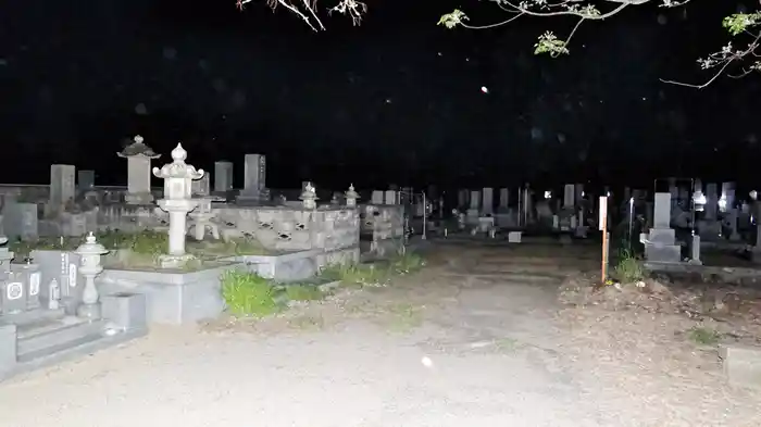 クレイジーフィールド 屍国巡霊編