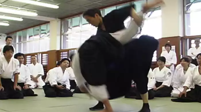 甲野善紀身体操作術