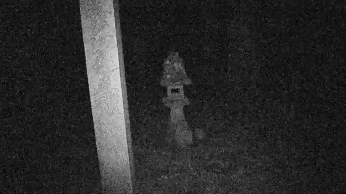 奇想天外 心霊動画