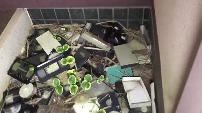 絶恐(絶対恐怖)怨霊ビデオ