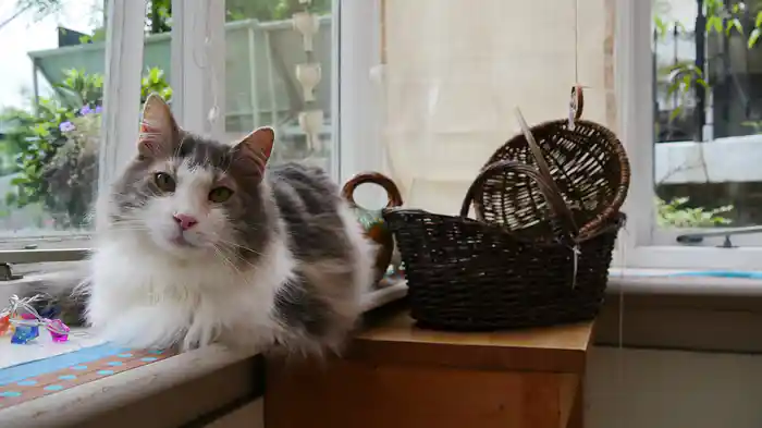 古都 鎌倉と江ノ島 【旅猫ロマン】