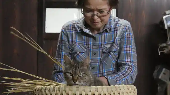 新潟県関川村 猫ちぐらの里 【旅猫ロマン】