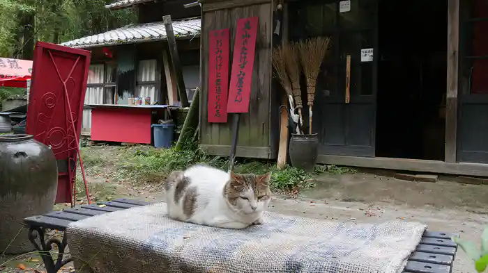薩摩焼の里 鹿児島 美山 【旅猫ロマン】