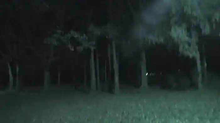 心霊写真と心霊映像 ベストセレクション