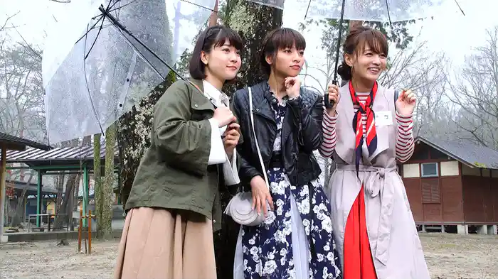 岐阜にイジュー！